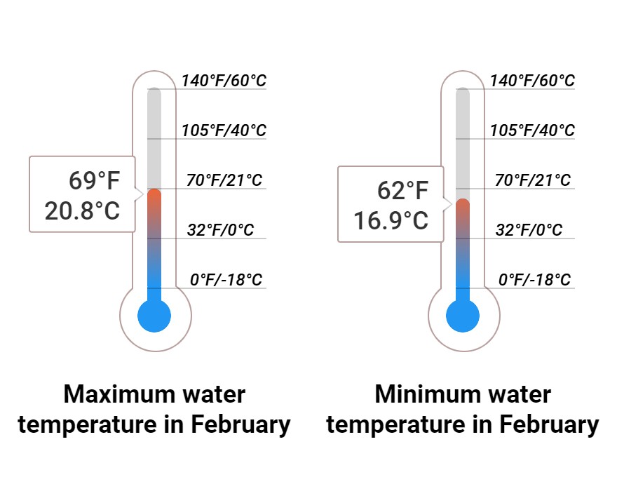 Average Sea temperature